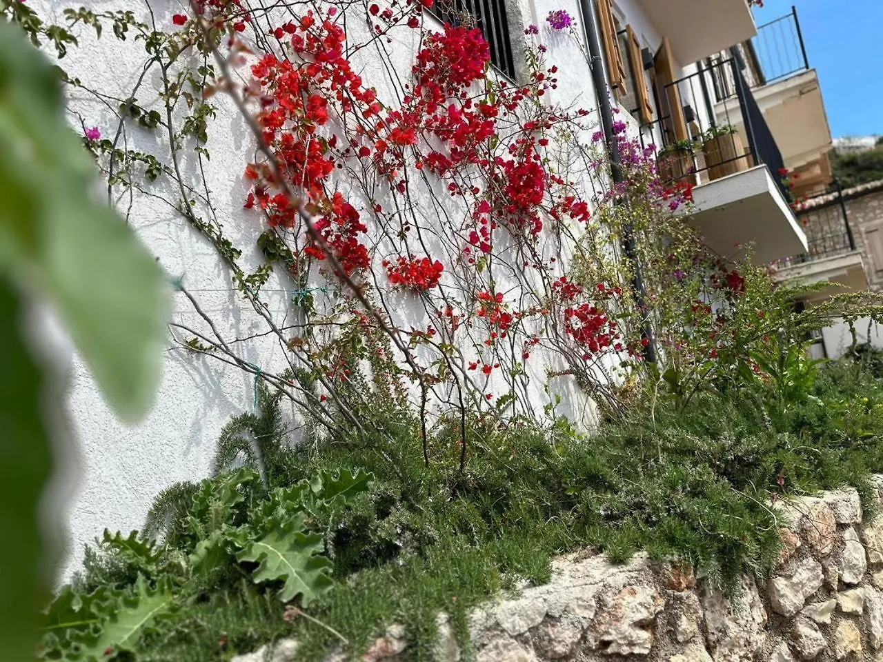 Lion'S Villa Vlore 0*,  Albania